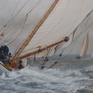 Mariquita racing at Falmouth  Not for Sale